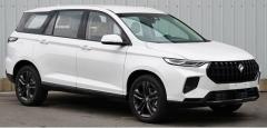 ������� SAIC ���������� ����� ��������� Baojun RS-7