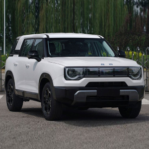 ������������ ���� ������������ ������������ BAIC BJ30