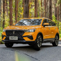 FAW T77 �������� � ������ � ���� ����