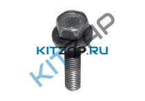 ���� ������ ��������_����_0