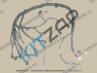 ���� �������� ����� ���������� ���������� Wingle (������)