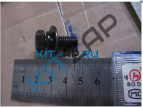 ���� ���������_����_0