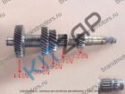 ��� ��� ������������� (TAGC) 4�2